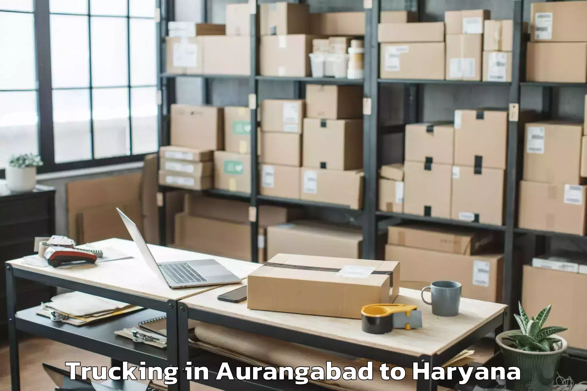 Book Aurangabad to Nuh Trucking Online